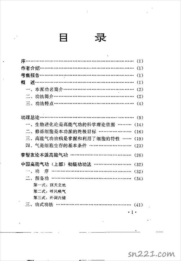 中國高能氣功（李智友）212頁 .pdf